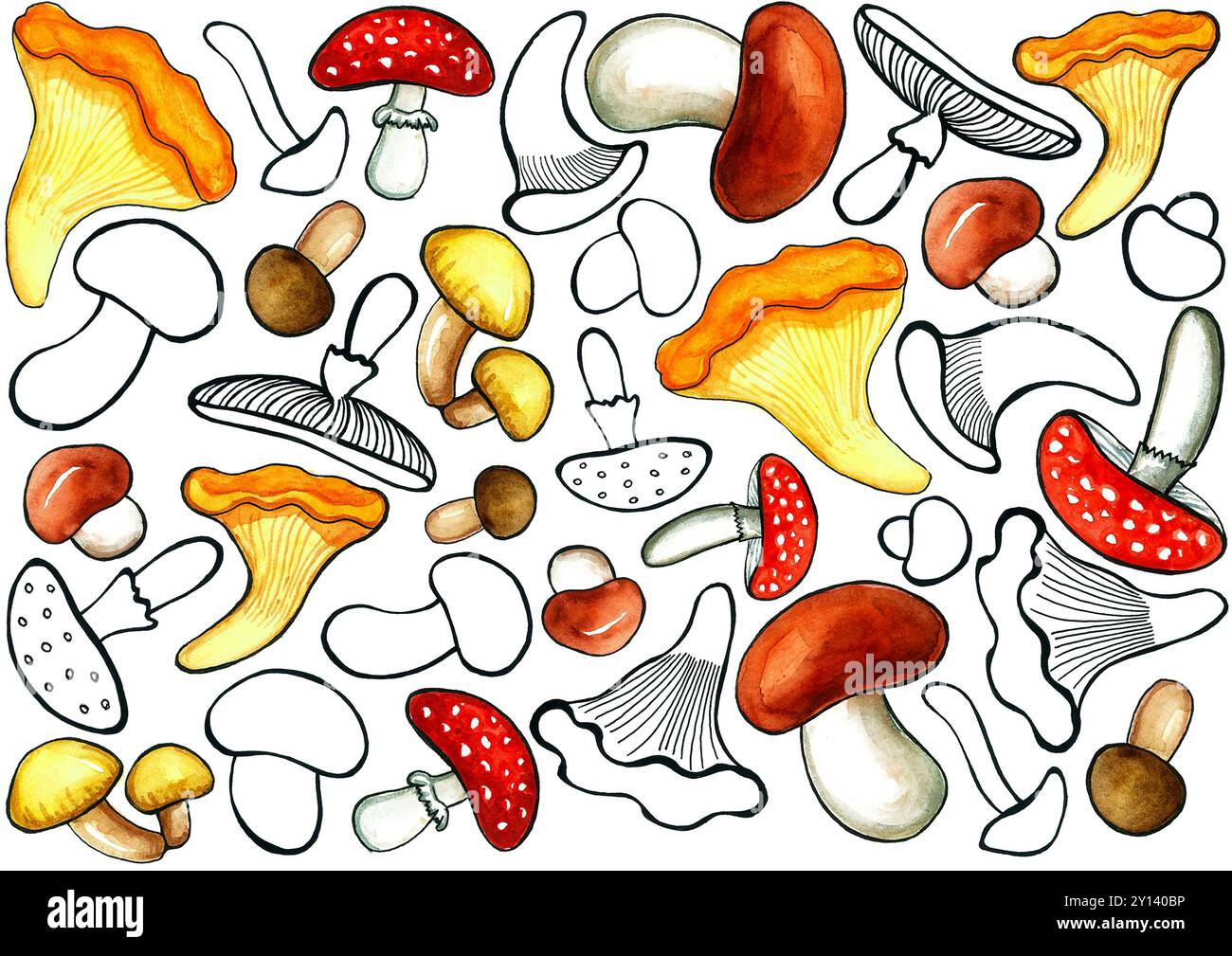 Un ensemble de différents types de champignons. Dessin de contour noir ou avec remplissage aquarelle. Différentes formes et tailles. Chaotiquement situé sur un BA blanc Banque D'Images