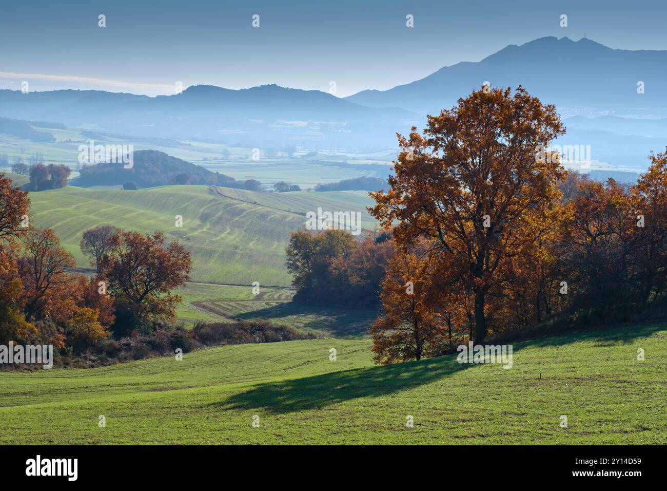 Un magnifique paysage d'automne dans la vallée d'Allin, Navarre, Espagne, avec des collines verdoyantes et des arbres dorés vibrants sous un ciel bleu calme. Banque D'Images