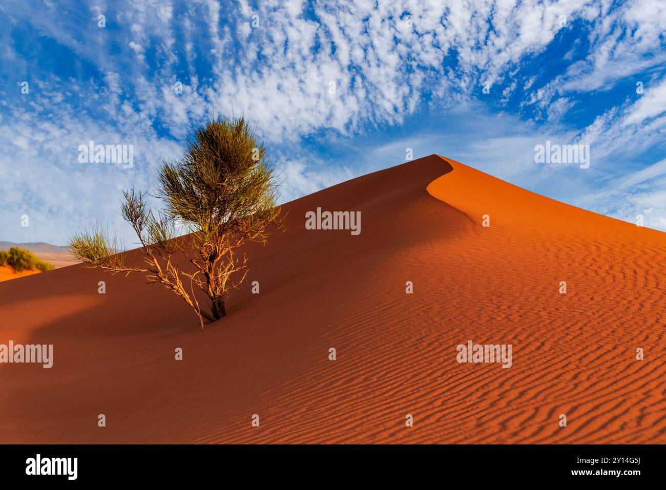 Merzouga, Maroc - Afrique du Nord. Dunes de sable ERG Chebbi dans le désert du Sahara. Banque D'Images