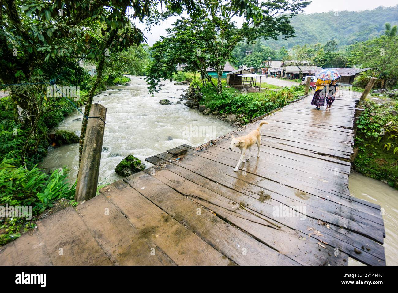 Pont sur le fleuve Satan, la Taña, région de Reyna, département d'Uspantan, Guatemala, Amérique centrale. Banque D'Images