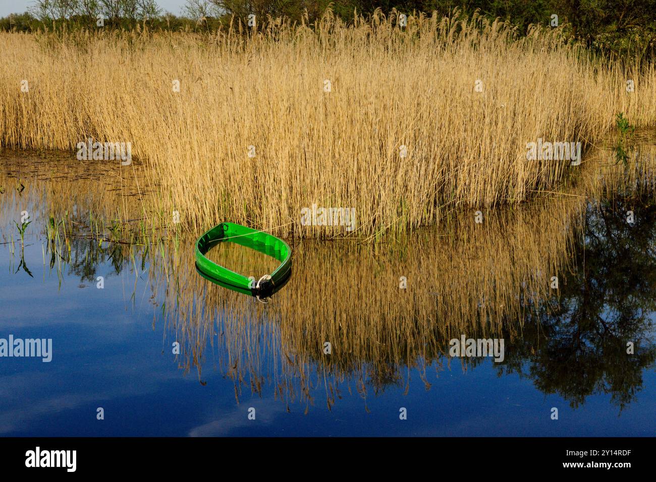 Parc national des Tablas de Daimiel, Ciudad Real, Castille-la Manche, Espagne, Europe. Banque D'Images