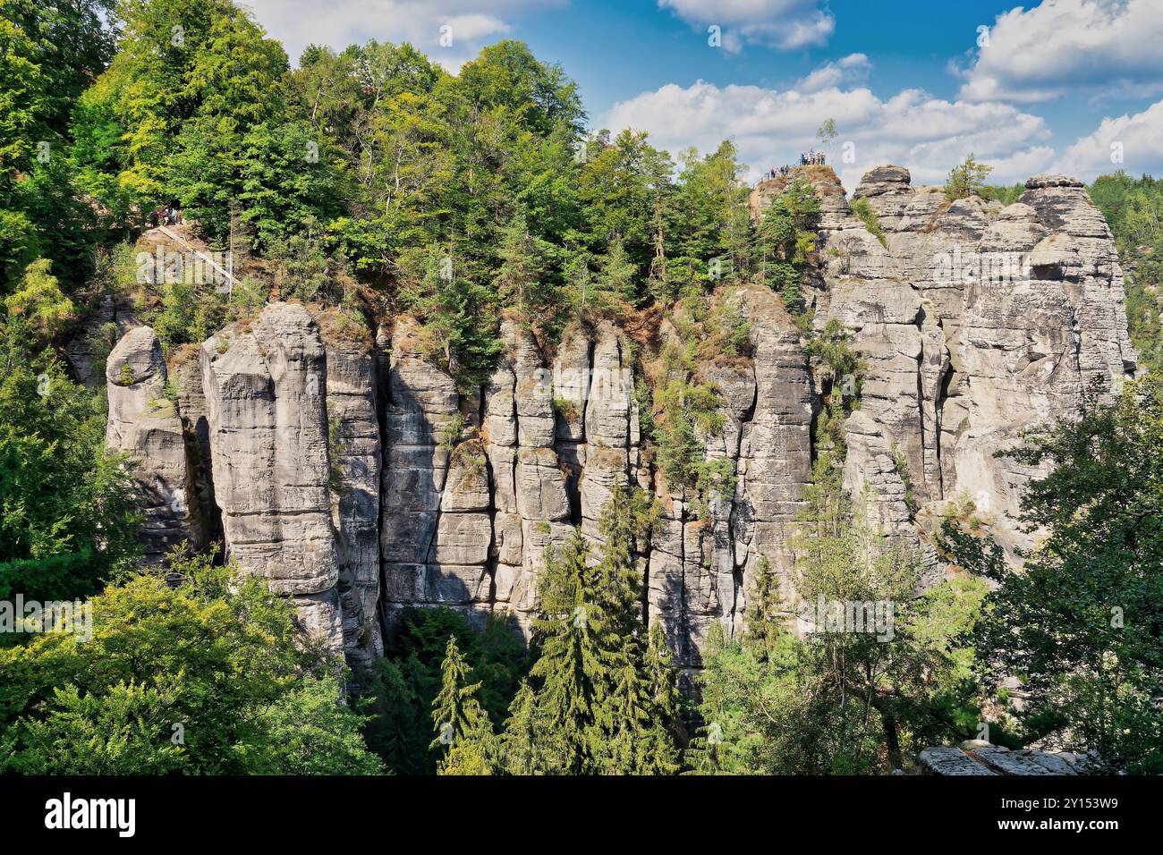 La Suisse saxonne est le nom donné à la partie allemande des montagnes de grès de l'Elbe en Saxe. Le paysage, caractérisé par un formati rocheux bizarre Banque D'Images