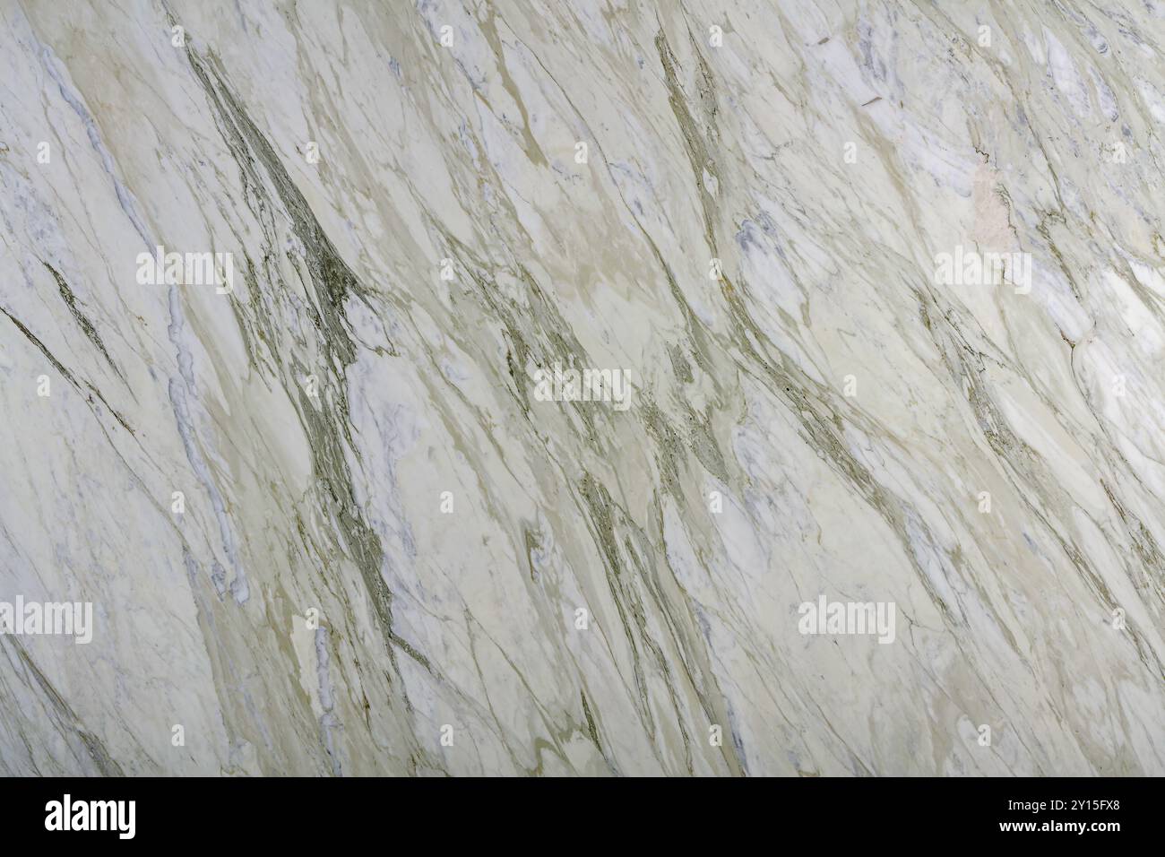 Surface en marbre blanc de haute qualité avec des veines vertes frappantes, parfaite pour un décor moderne. Banque D'Images