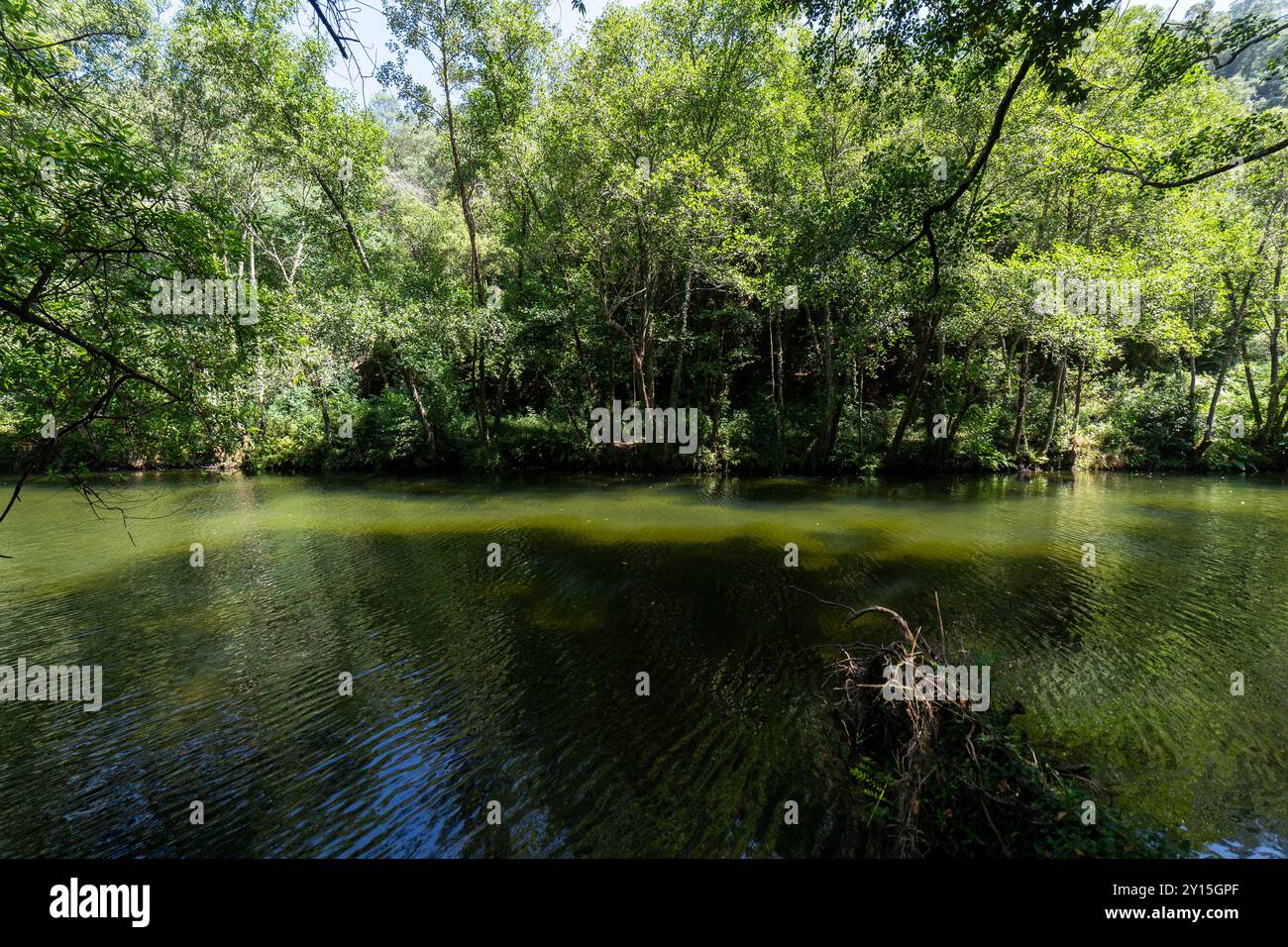 Góis Rio Ceira Praia fluvial do Pego Escuro Banque D'Images