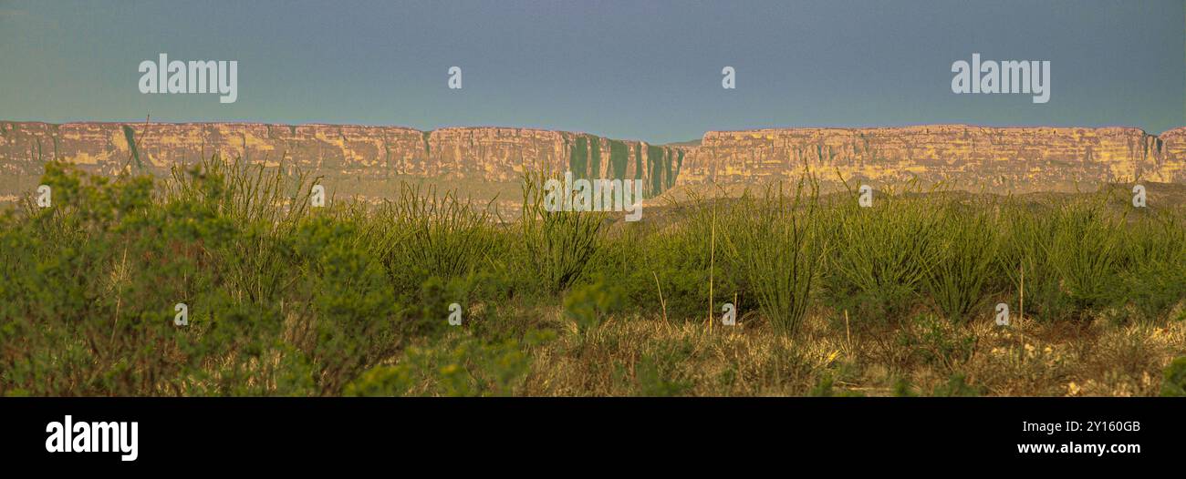 Panaroma du désert montrant Santa Elena Canyon. La rivière Rio Grande qui traverse le canyon de Santa Elena sépare le Mexique des États-Unis. Banque D'Images