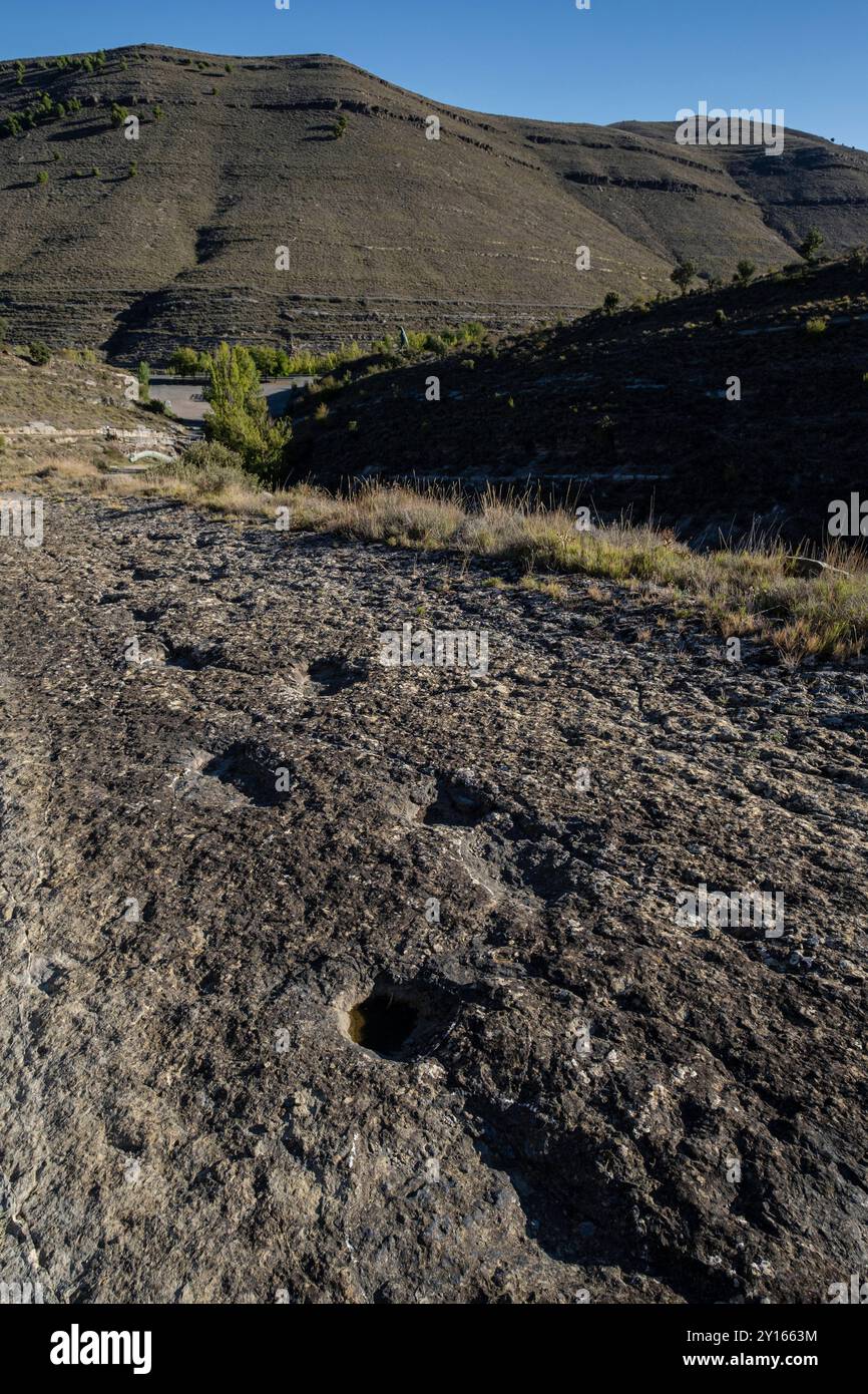 Traces de dinosaures, site de Valdecevillo, Enciso, la Rioja , Espagne, Europe. Banque D'Images