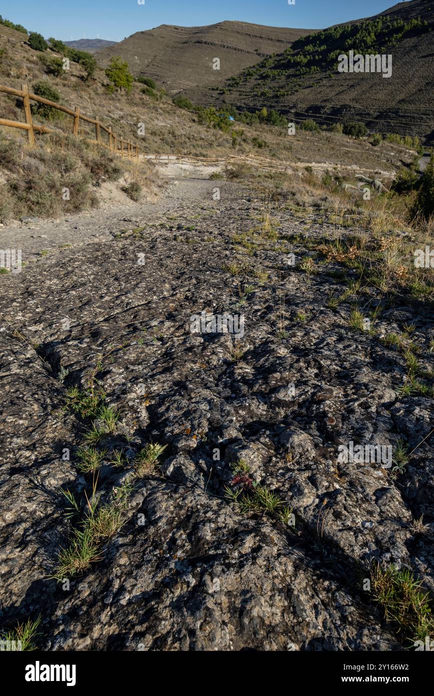 Traces de dinosaures, site de Valdecevillo, Enciso, la Rioja , Espagne, Europe. Banque D'Images