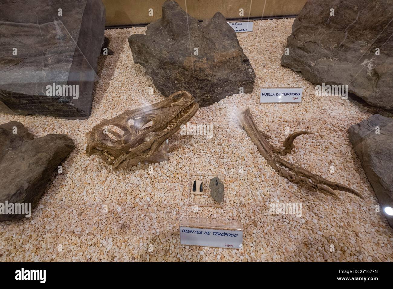 Paleontológica Centro de interpretación de La Rioja, Igea, La Rioja, Espagne, Europe. Banque D'Images