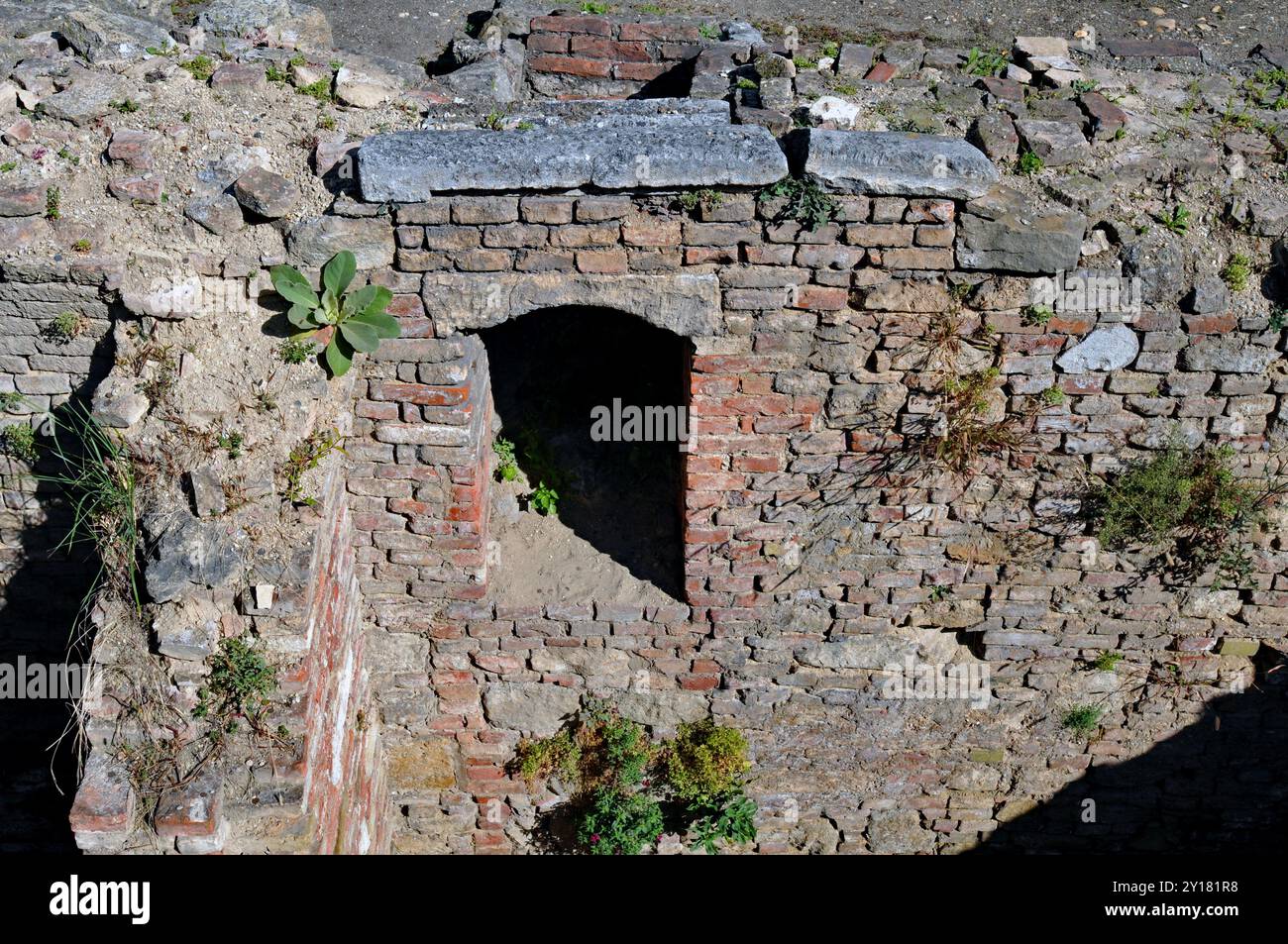 Les ruines fouillées du camp militaire romain de Vindobona peuvent être vues sur la place Michaelerplatz de Vienne. Banque D'Images