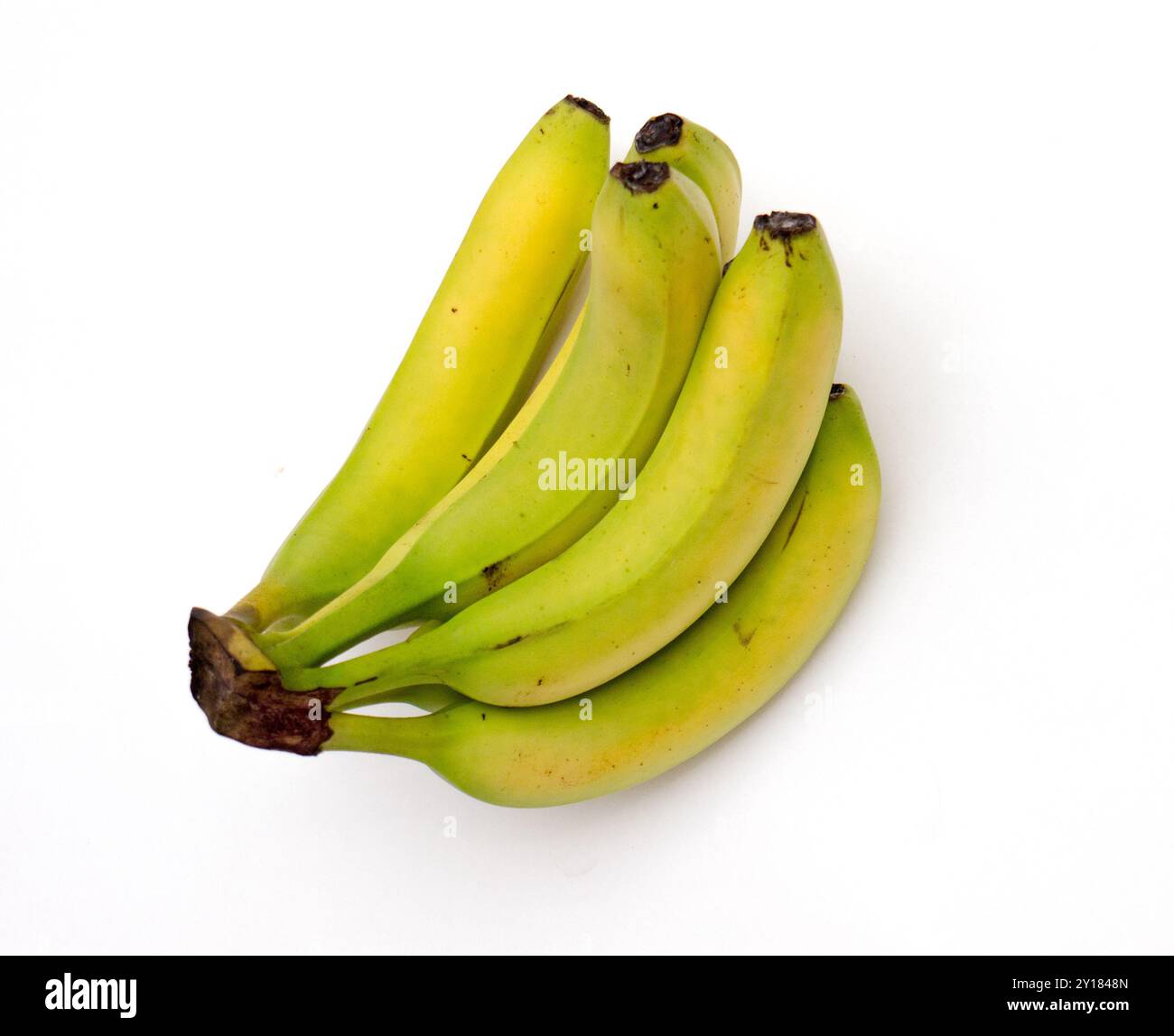 Banane verte sur fond blanc. Banque D'Images