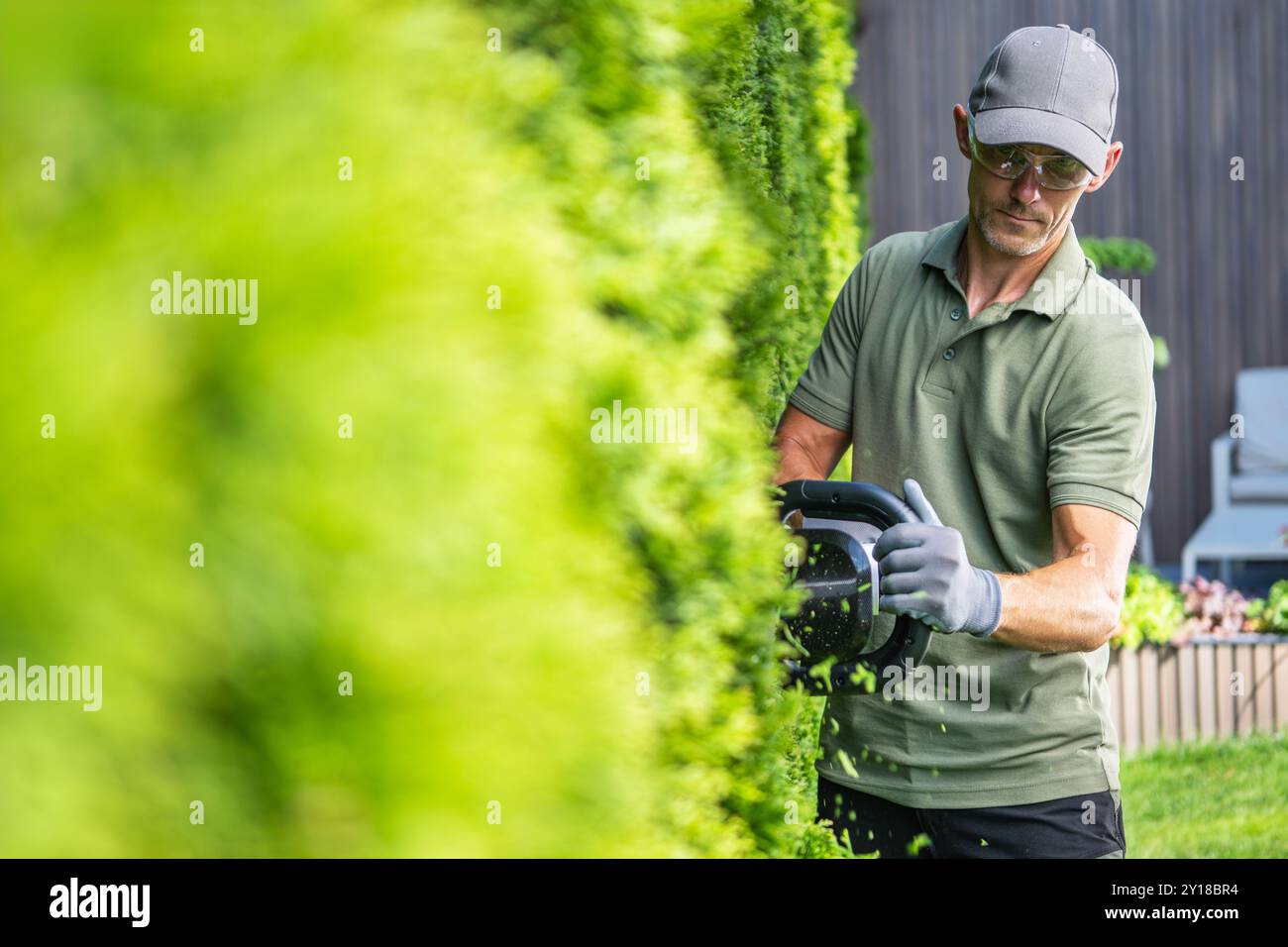 Un homme portant une casquette et des gants coupe soigneusement une haie verte luxuriante dans son arrière-cour, entouré de plantes par une journée claire et ensoleillée. Banque D'Images