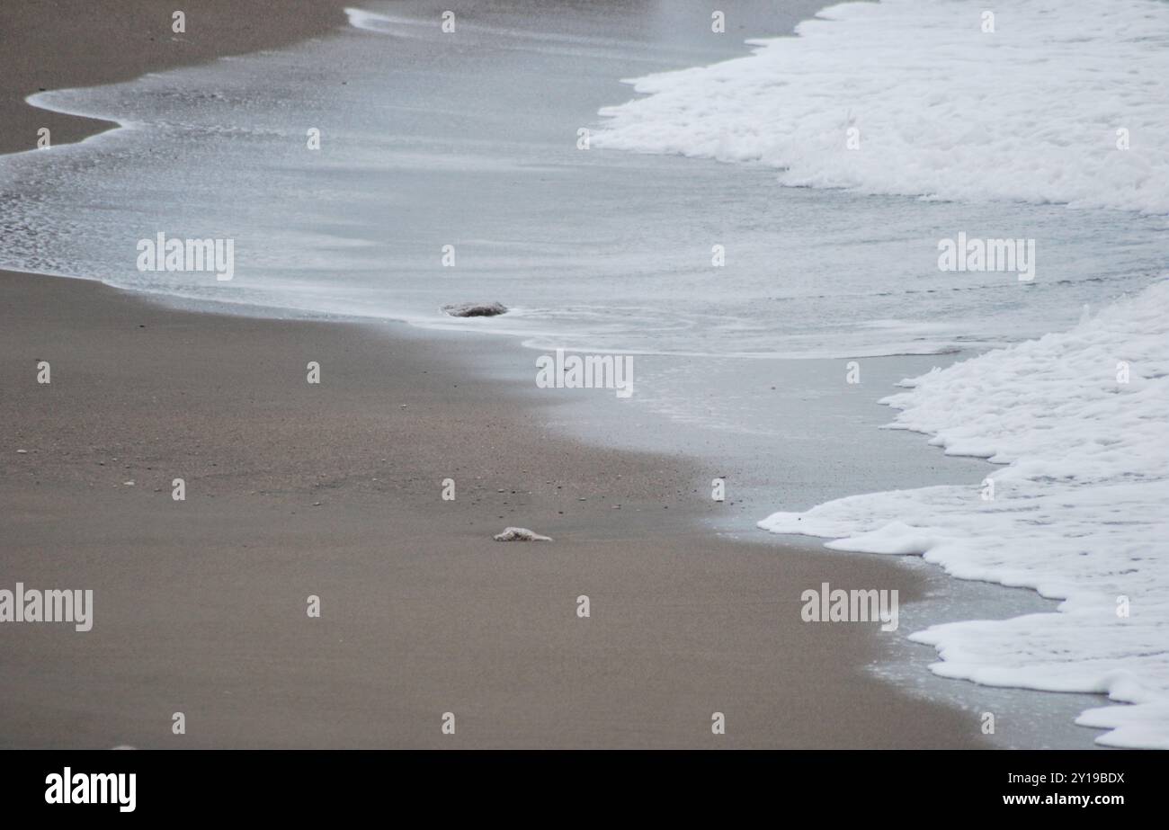 spiaggia dopo mareggiata Banque D'Images