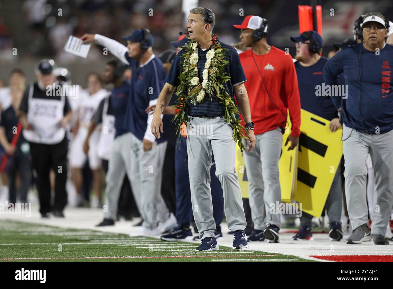 TUCSON, AZ - AUGUST 31: Arizona Wildcats head coach Brent Brennan, during a football game between the New Mexico Lobos and the University of Arizona Wildcats. August 31, 2024 at Arizona Stadium in Tucson, AZ. (Photo by Christopher Hook/Icon Sportswire) (Icon Sportswire via AP Images) Banque D'Images