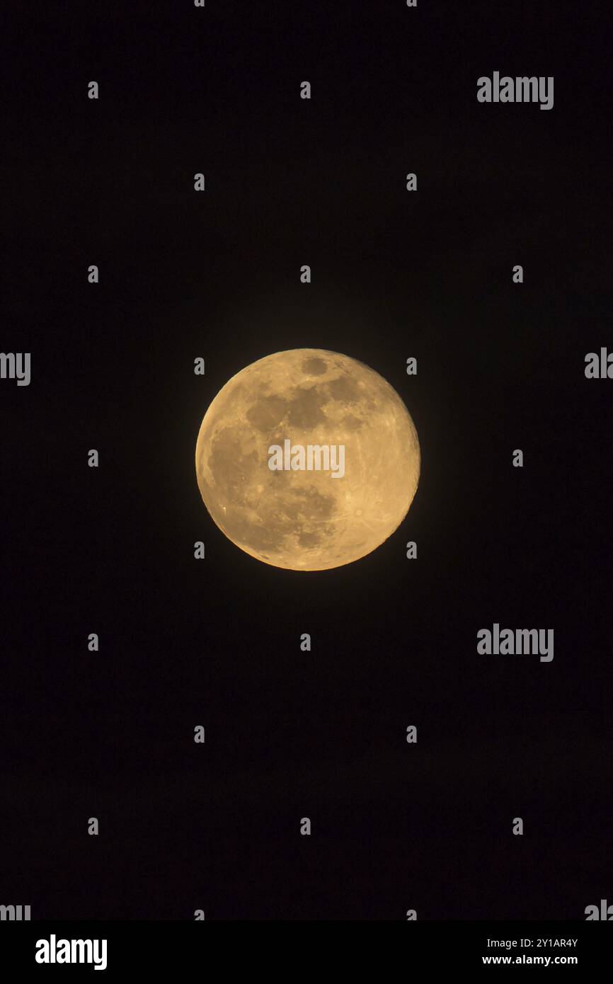 Lune bleue se levant le 31 mars 2018, dimensions de la photo, image orientée portrait avec Lune isolée sur fond noir avec texte ou espace de copie Banque D'Images