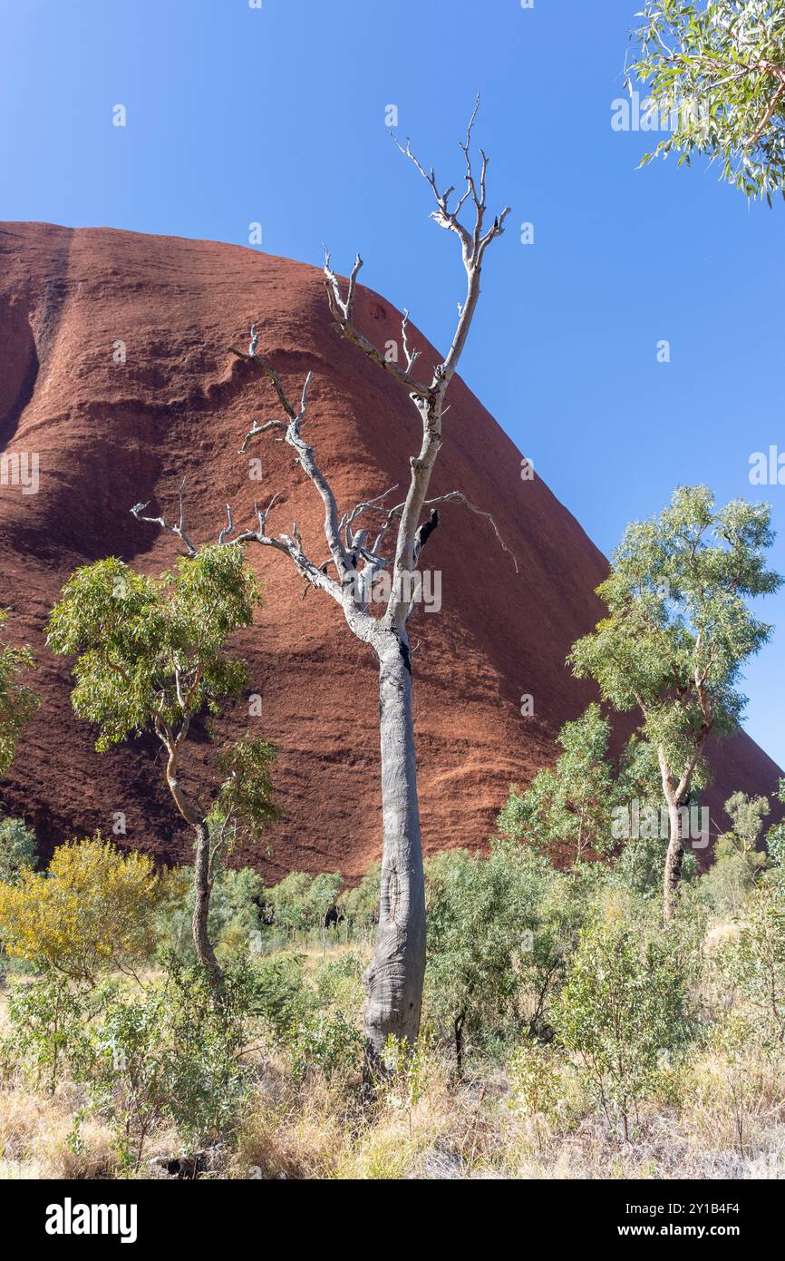 Vue depuis Mala Walk Track, Uluru (Ayers Rock), parc national de Uluṟu-Kata Tjuṯa, territoire du Nord, Australie Banque D'Images