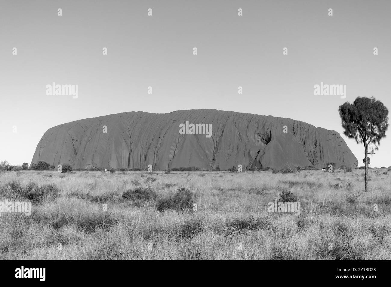 Uluru (Ayers Rock) au coucher du soleil, parc national de Uluṟu-Kata Tjuṯa, territoire du Nord, Australie Banque D'Images