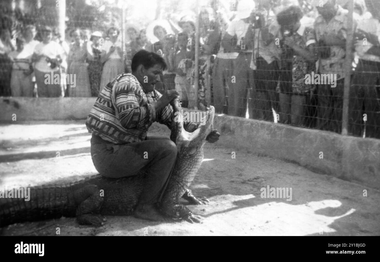 Une foule regarde un Indien Séminole Mikasuki lutter contre un alligator à Miami, en Floride. (ÉTATS-UNIS) Banque D'Images