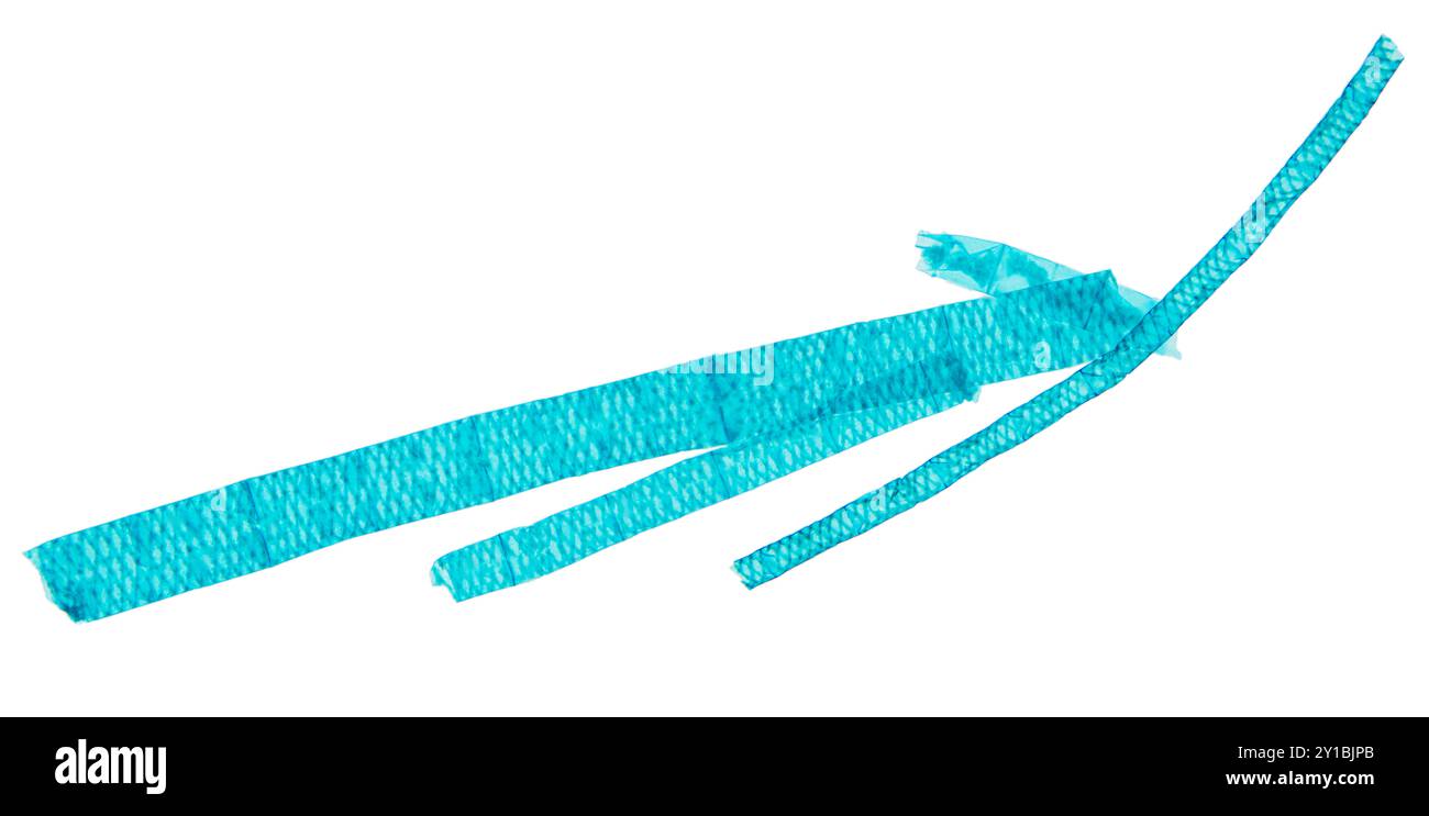 Spirogyra, monture entière, sous microscope optique. Micrographies légères 20X, 2 photos combinées de soie d'eau tachée, également connue sous le nom de weed de couverture. Banque D'Images