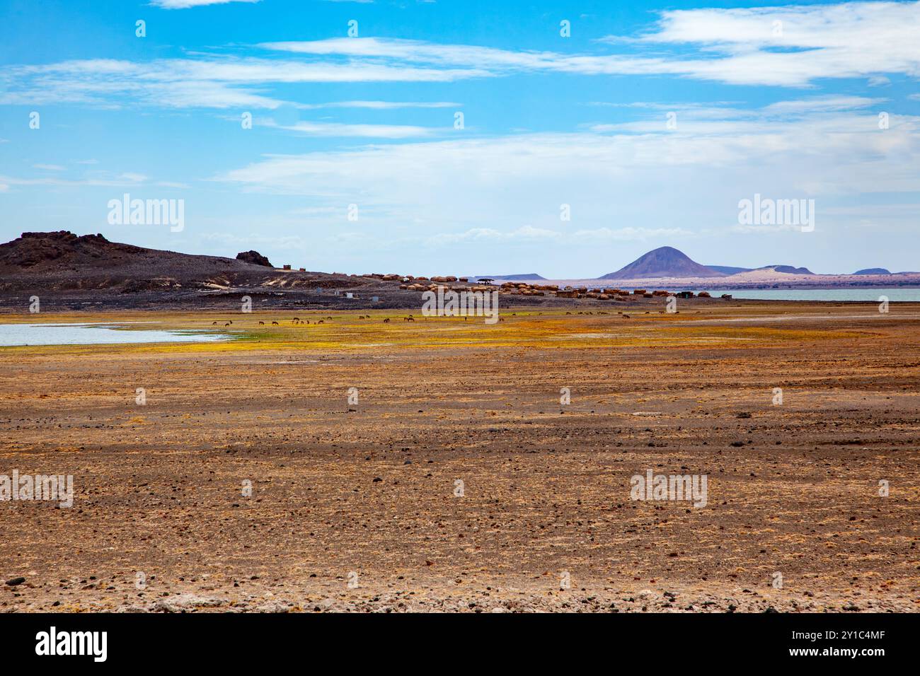 Le lac Turkana est un lac salin situé dans la vallée du Rift au Kenya, au nord du Kenya, avec son extrémité nord traversant l'Éthiopie Banque D'Images