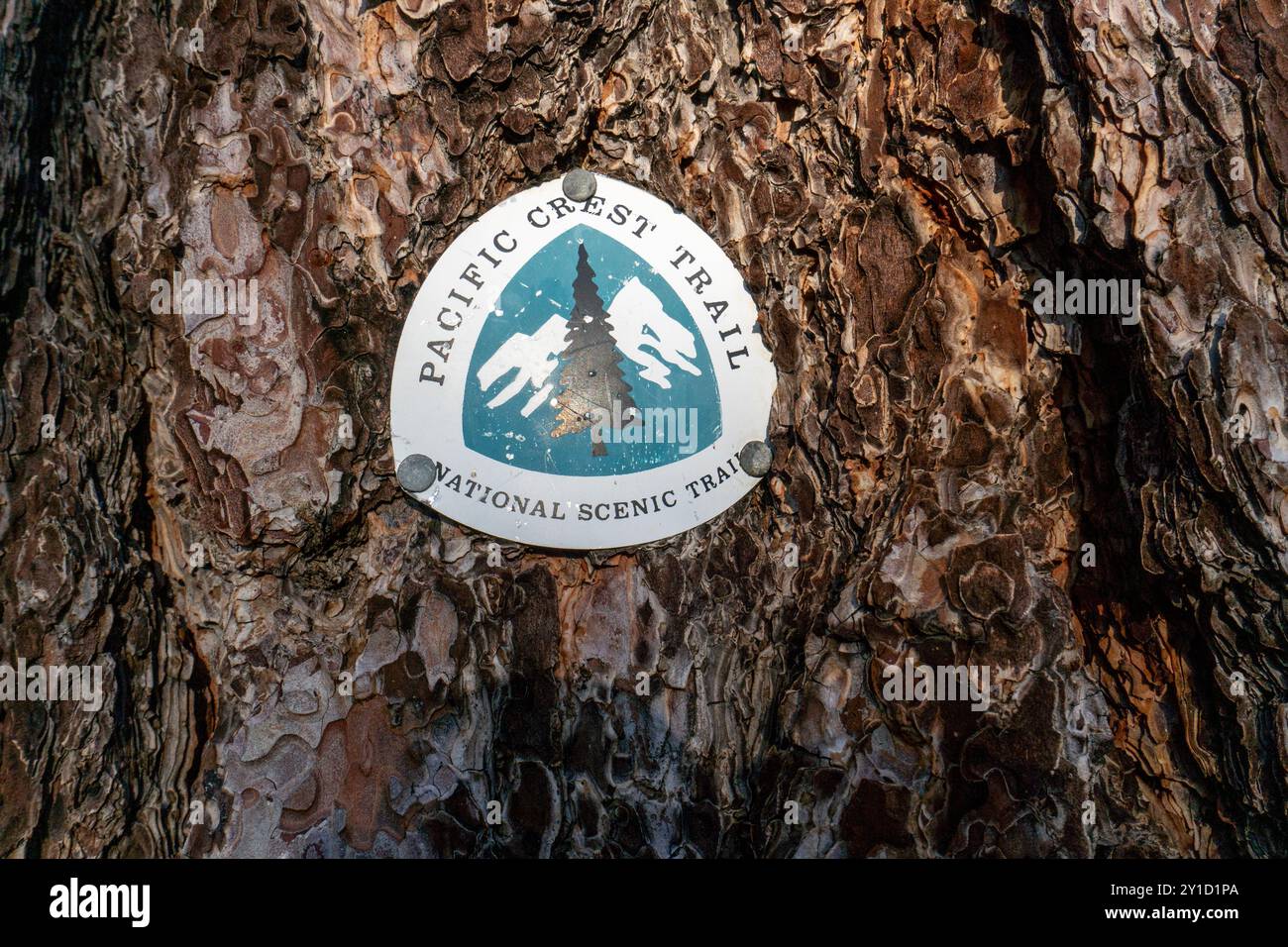 Un tronc d'arbre avec un signe Pacific Crest Trail dessus. Le signe est petit et a un motif bleu et blanc Banque D'Images