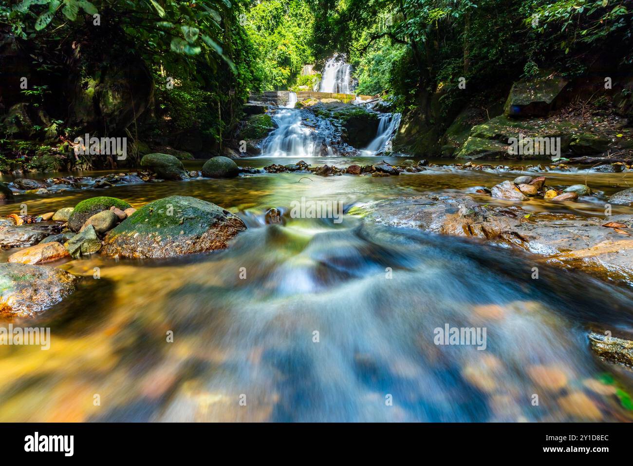 Perak biodiversité Etat de Malyaysia Banque D'Images