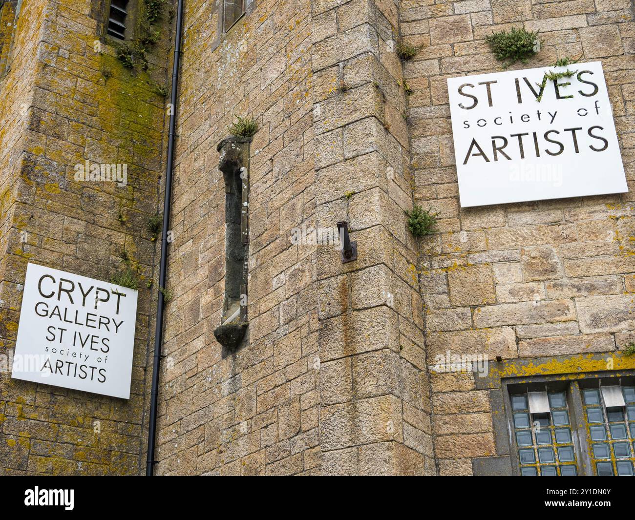 St Ives Society of Artists, St Ives, Cornouailles, Angleterre, Royaume-Uni, GB. Banque D'Images