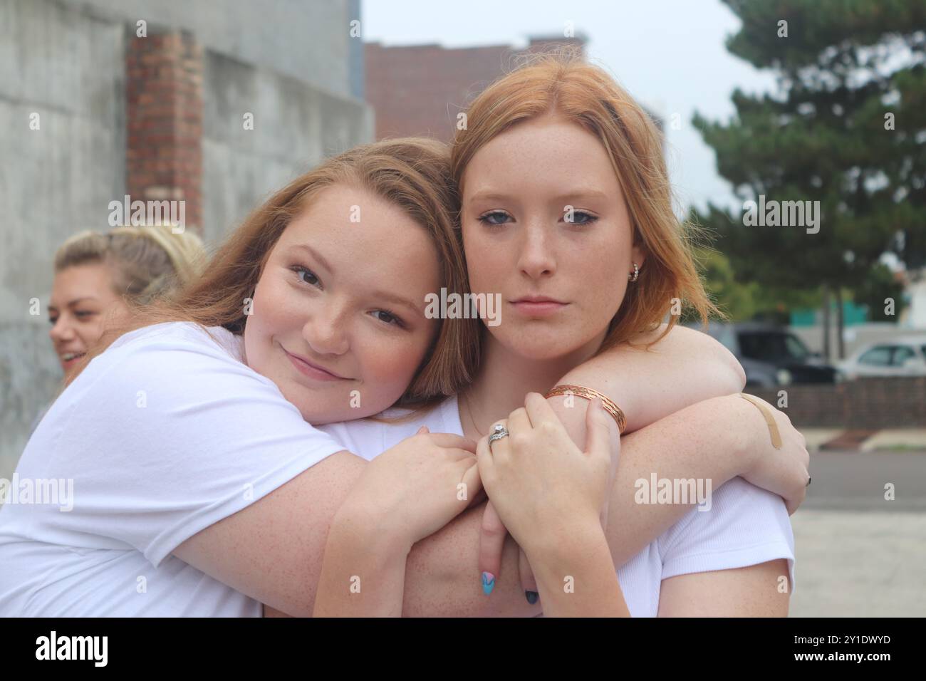 Ginger Friends Banque D'Images