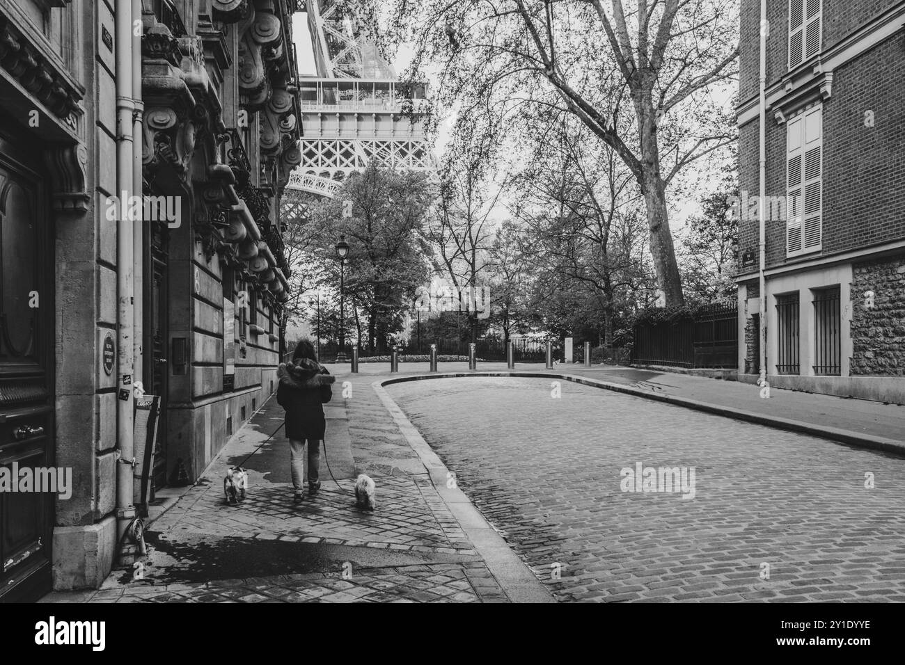 Une femme se promène dans une rue parisienne paisible avec la Tour Eiffel en vue. Deux petits chiens l’accompagnent, soulignant le charme des matins tôt dans la ville. Banque D'Images