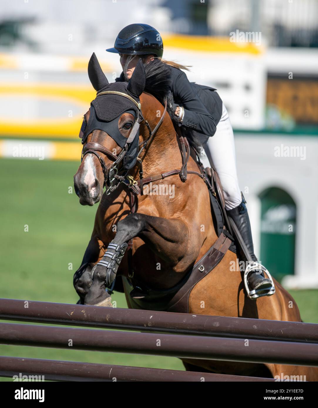 Calgary, Alberta, Canada, 5 septembre 2024. Katie Laury (AUS) Riding Django II, The Masters Showjumping, - Coupe Cana Banque D'Images