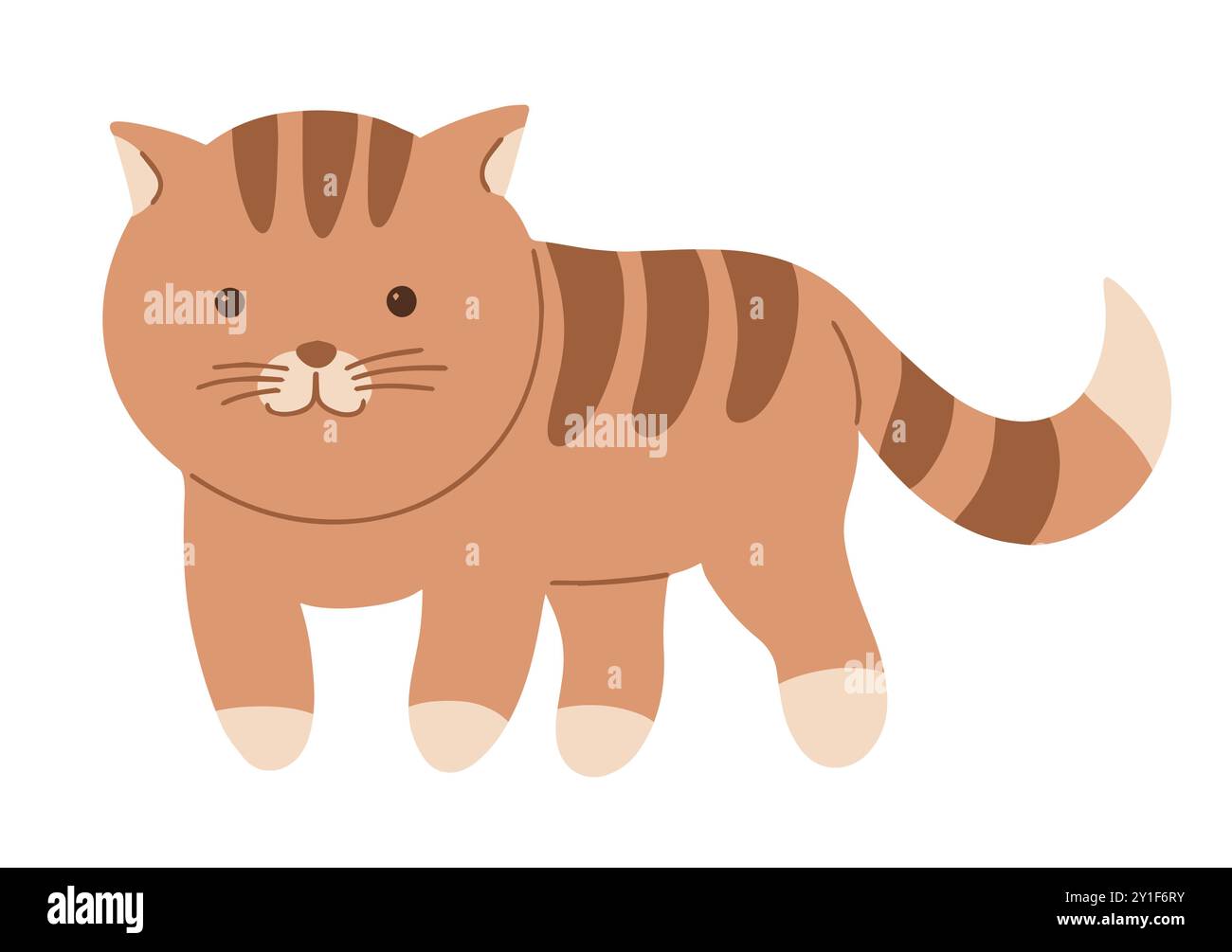 Chaton tabby rouge sur fond blanc Illustration de Vecteur