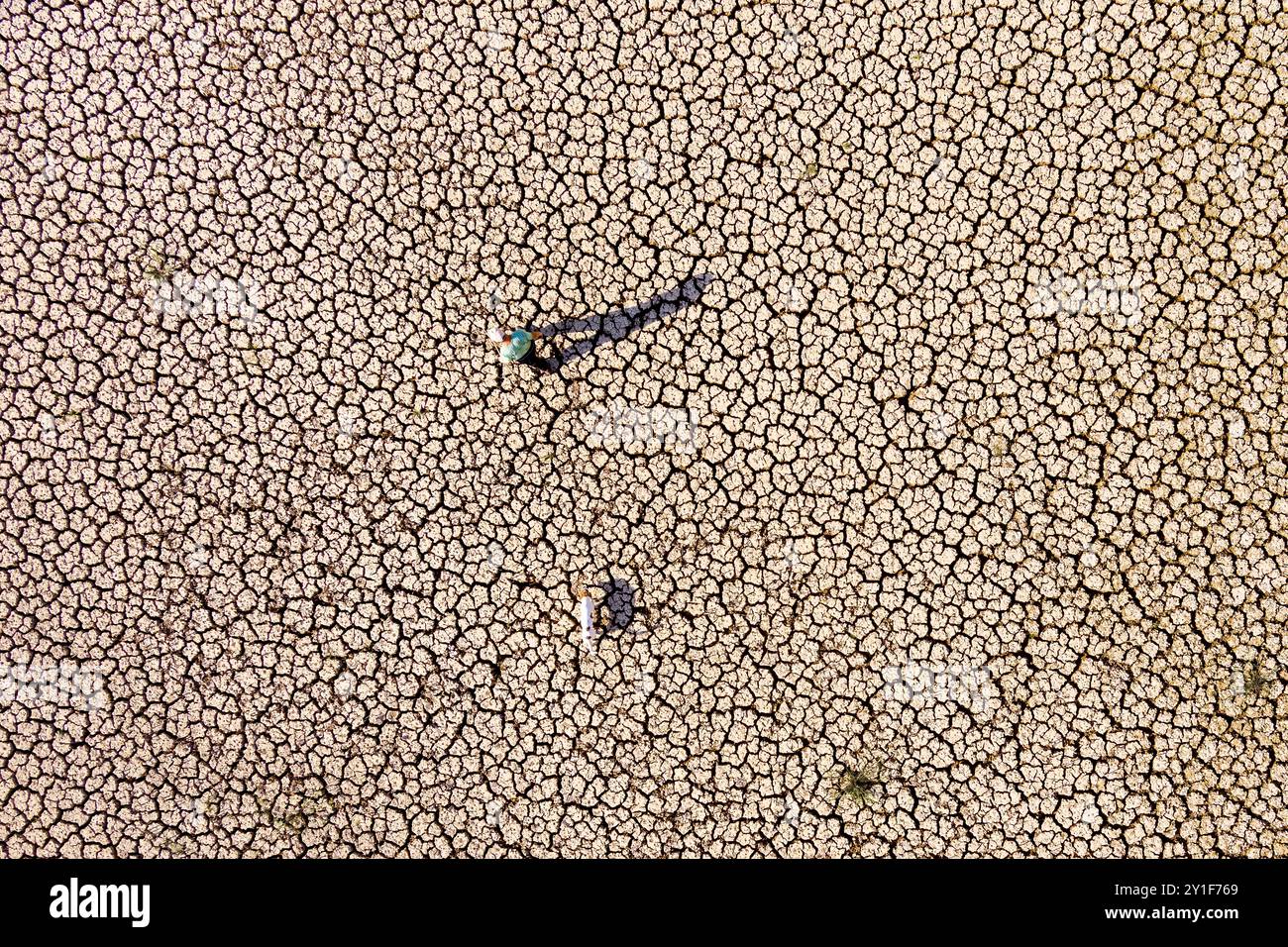 Le lac de Kato Scholari, un peu à l'extérieur de Thessalonique, en Grèce, s'est transformé en désert. Le lac autrefois plein qui était un habitat avec de nombreuses espèces de fl Banque D'Images