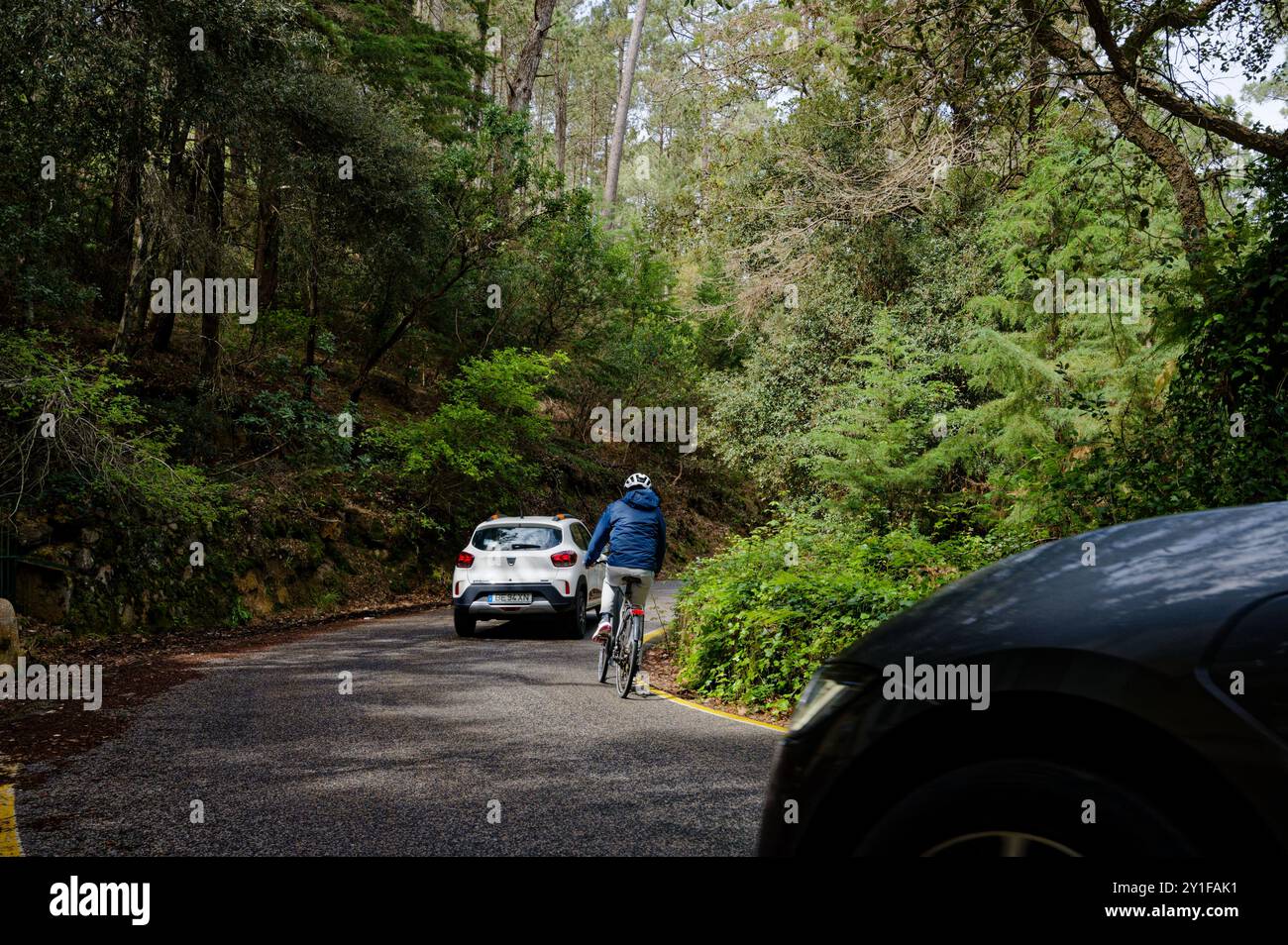 Cycliste circulant entre les voitures à travers une route courbe de forêt ombragée Banque D'Images