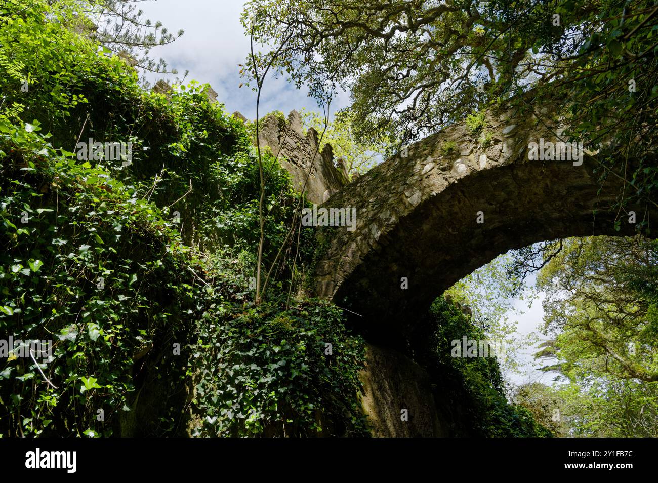 Pont en pierre altérée couvert de verdure dans une zone boisée de Sintra, Portugal Banque D'Images