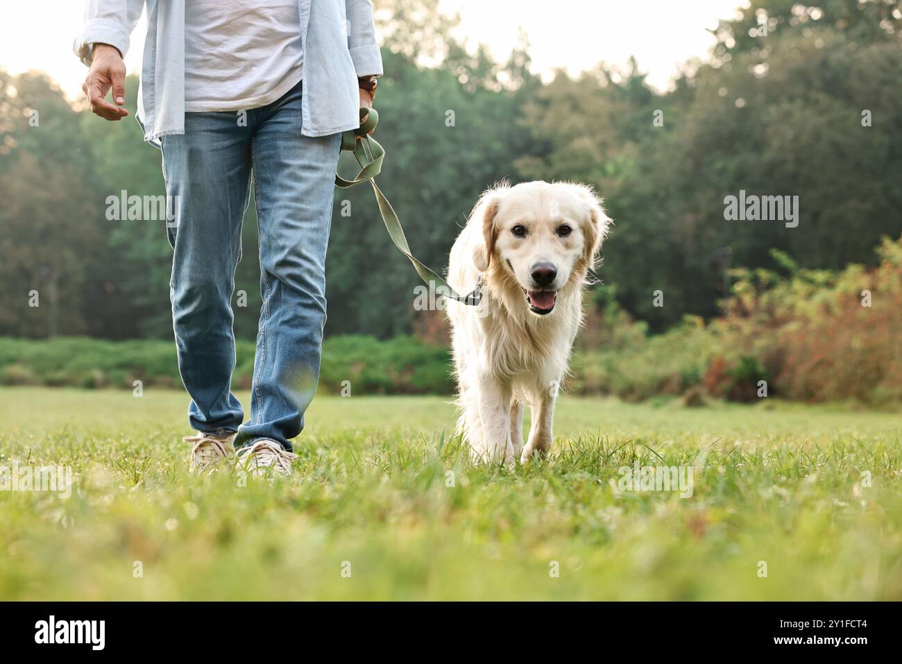 Homme avec chien mignon Golden Retriever marchant le jour du printemps, gros plan Banque D'Images