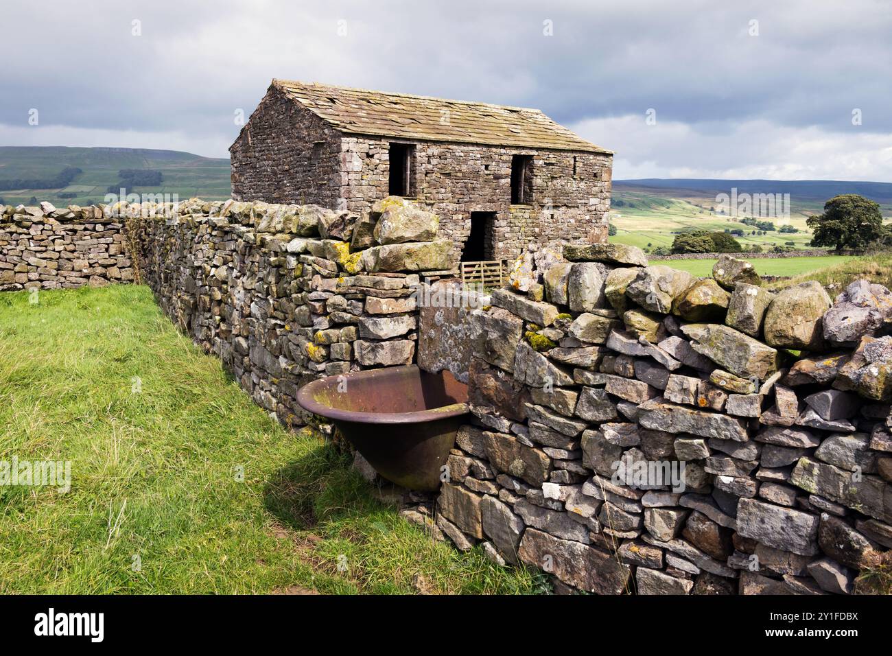 Grange traditionnelle et mur de pierre sèche (avec vieux bain pour l'abreuvement du bétail), Burtersett, Hawes, Wensleydale, Yorkshire Dales National Park Banque D'Images