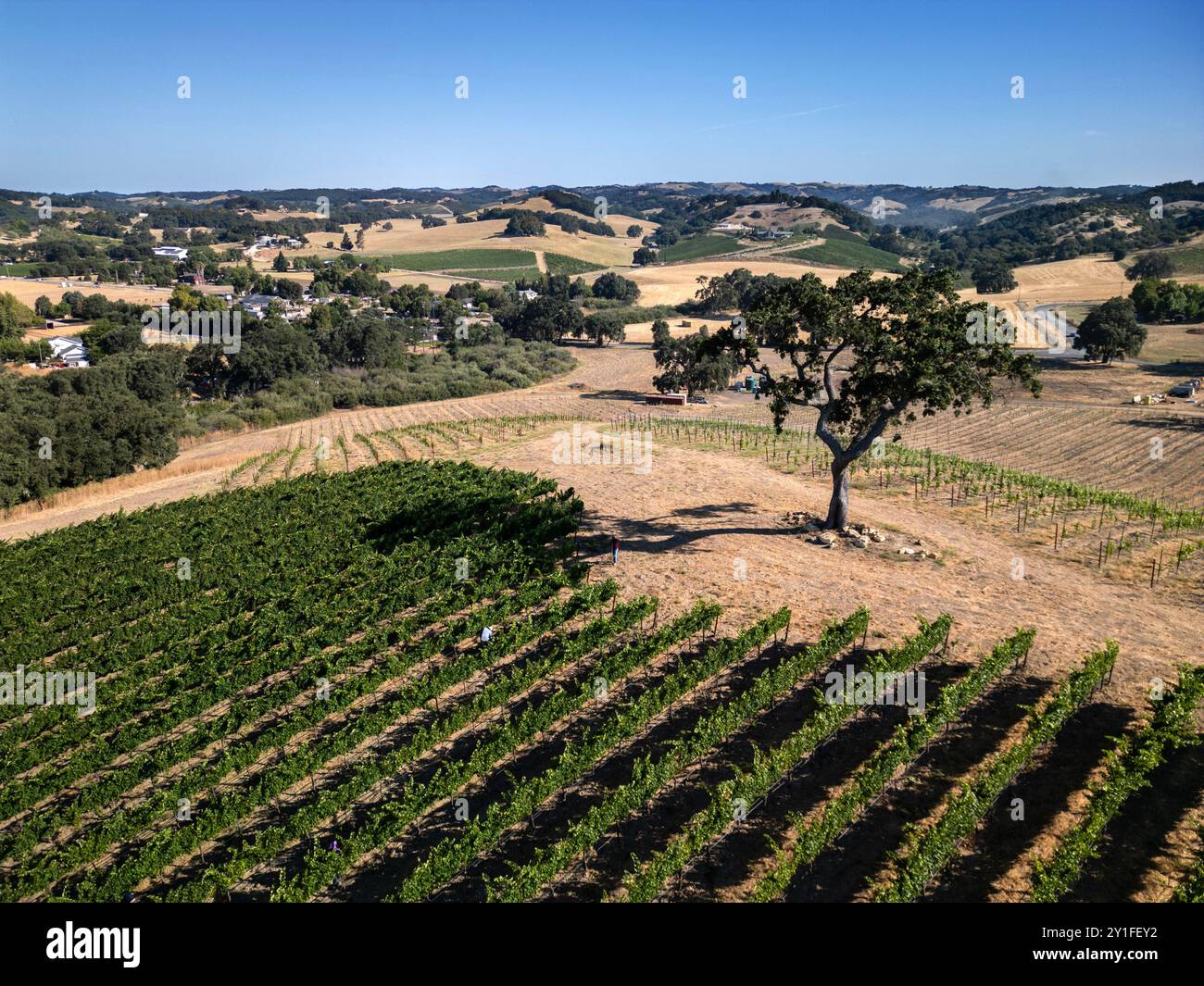 Au-dessus des vignobles et caves de vinification de la côte centrale de Californie près de Paso Robles Banque D'Images