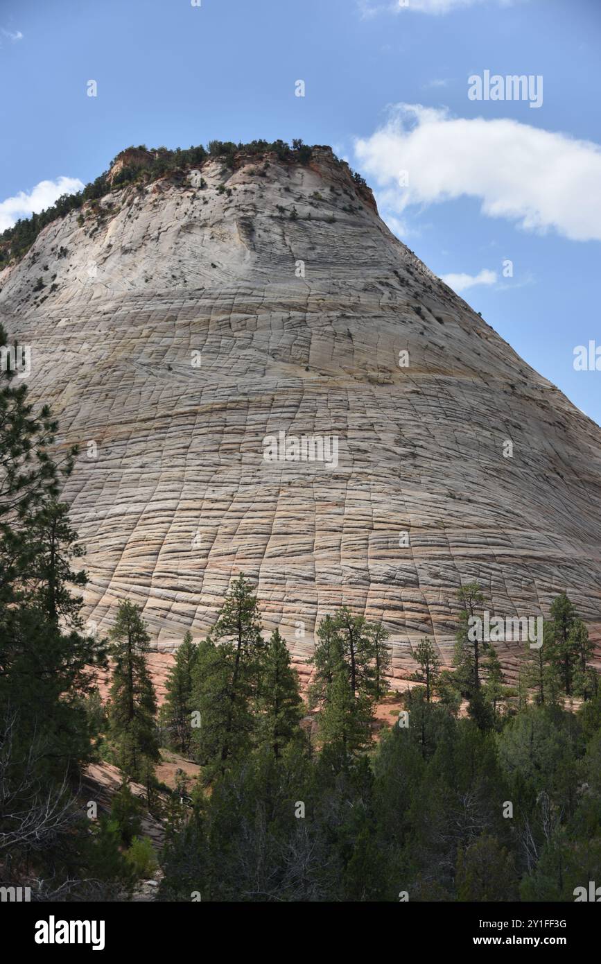 Springdale, UT. ÉTATS-UNIS 8/13/2024. Virgin River du parc national de Zion a sculpté le majestueux canyon de Zion de 15 kilomètres de long de falaises rougeâtres et de couleur brun. Banque D'Images