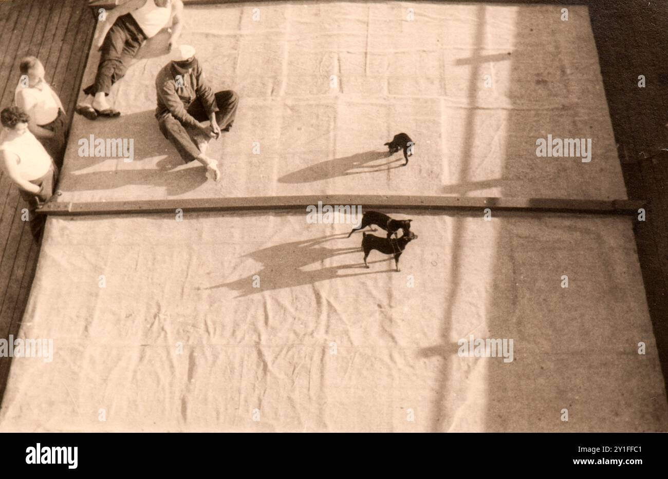 Photo tirée de l'album du voyage de l'Italie à l'Algérie et à Londres de la famille juive milanaise au milieu des années trente. En particulier, la photo montre un moment de détente à bord du paquebot lors de la croisière vers Alger. Banque D'Images