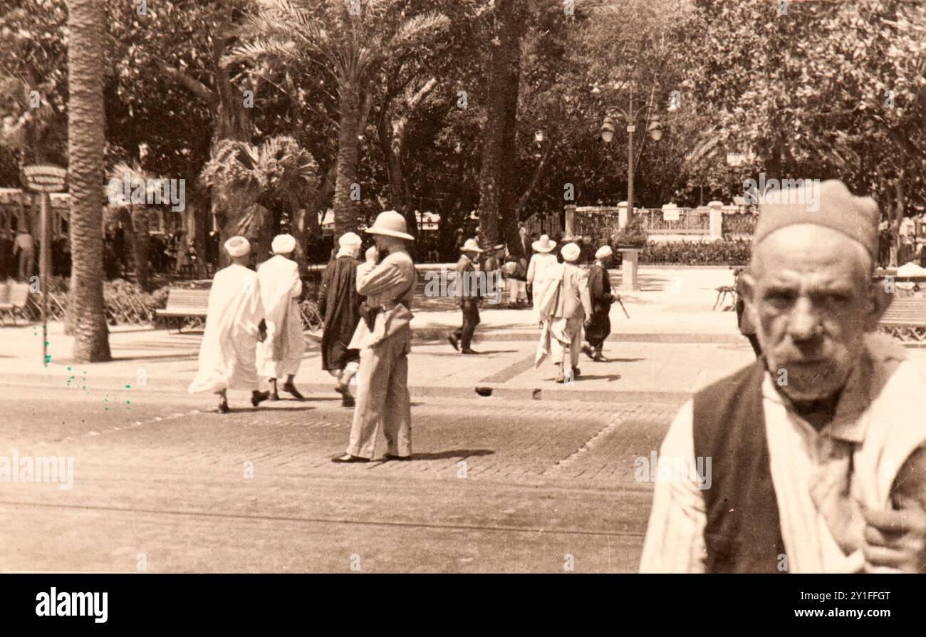 Photo tirée de l'album du voyage de l'Italie à l'Algérie et à Londres de la famille juive milanaise au milieu des années trente. En particulier, la photo montre l'un des beaux parcs de la capitale algérienne Banque D'Images