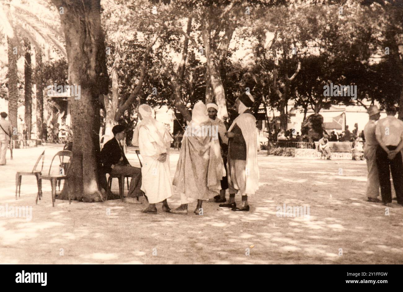 Photo tirée de l'album du voyage de l'Italie à l'Algérie et à Londres de la famille juive milanaise au milieu des années trente. En particulier, la photo montre l'un des beaux parcs de la capitale algérienne Banque D'Images