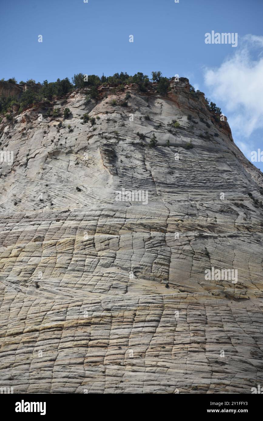 Springdale, UT. ÉTATS-UNIS 8/13/2024. Virgin River du parc national de Zion a sculpté le majestueux canyon de Zion de 15 kilomètres de long de falaises rougeâtres et de couleur brun. Banque D'Images
