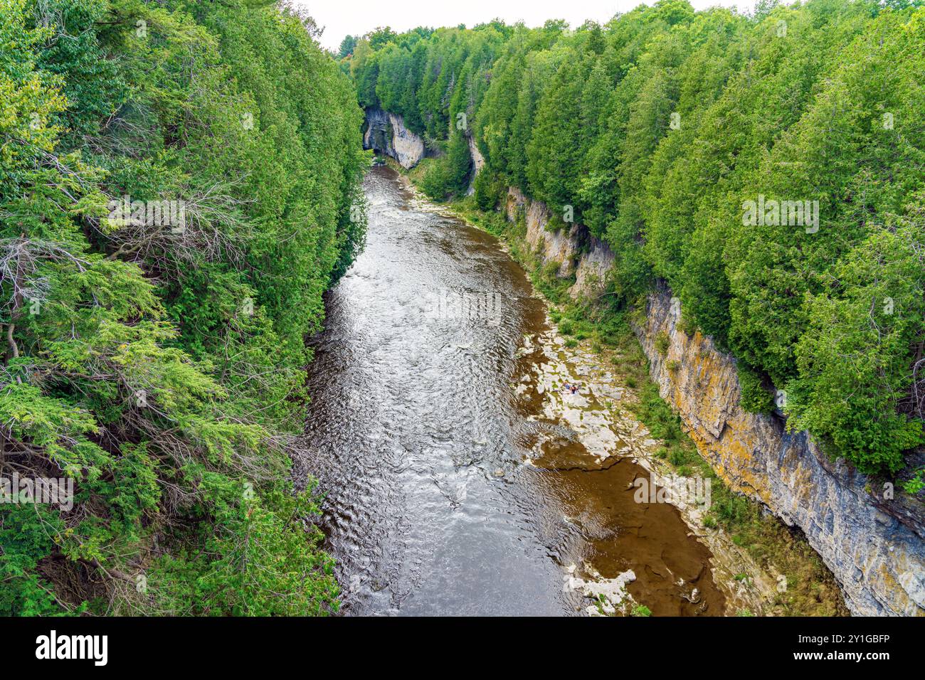 La rivière Grand traverse les spectaculaires falaises de 22 mètres de haut de la gorge d'Elora. Banque D'Images