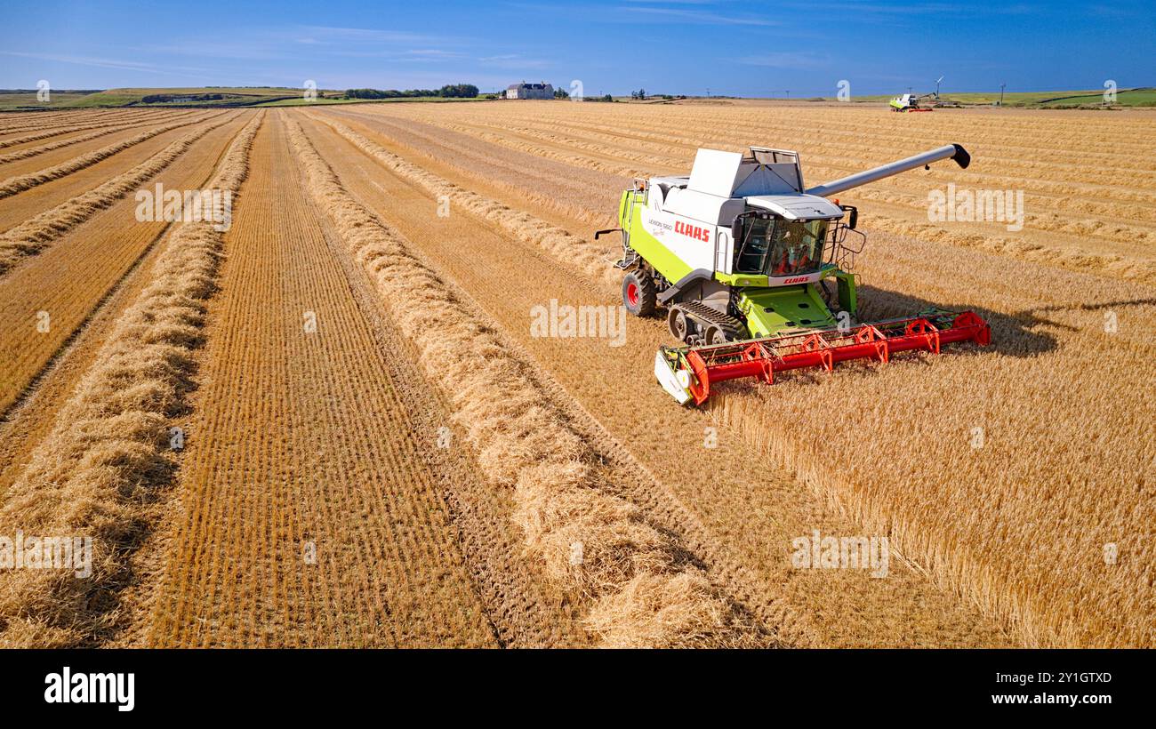 Moissonneuse-batteuse Caithness Écosse un ciel bleu d'été un champ d'orge et une machine qui approche Banque D'Images
