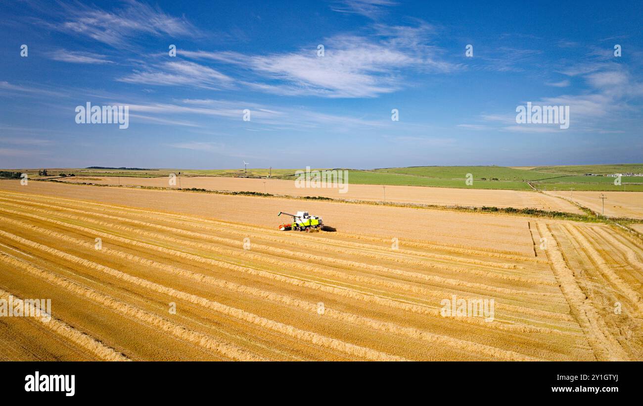 Combinez Harvester Caithness Scotland un champ d'orge bleu d'été et une récolteuse isolée Banque D'Images