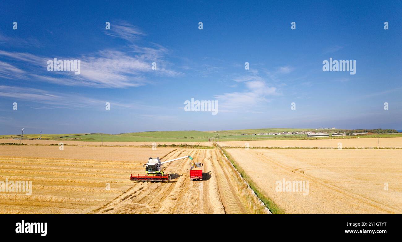 Combinez Harvester Caithness Scotland un champ d'orge bleu d'été et la récolteuse chargeant le grain dans la remorque Banque D'Images