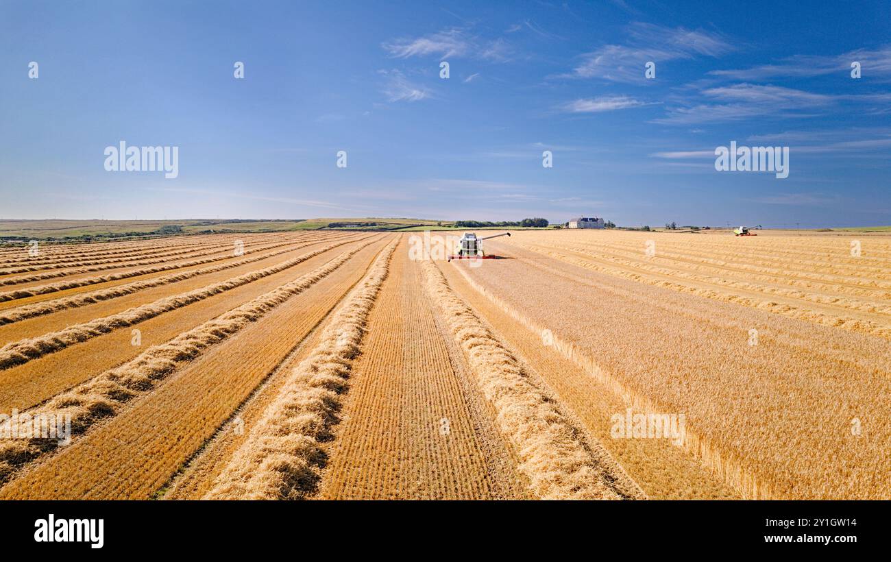 Combinez Harvester Caithness Scotland un champ d'orge bleu d'été et deux machines Banque D'Images