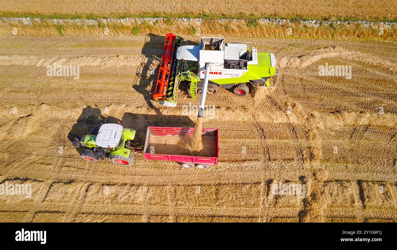 Moissonneuse-batteuse Caithness Scotland la moissonneuse-batteuse déchargeant le grain dans la remorque Banque D'Images