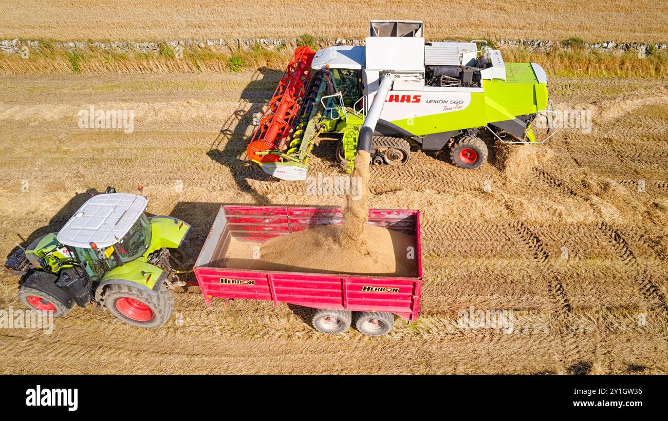 Moissonneuse-batteuse Caithness Scotland la moissonneuse-batteuse déchargeant le grain récolté dans la remorque rouge Banque D'Images