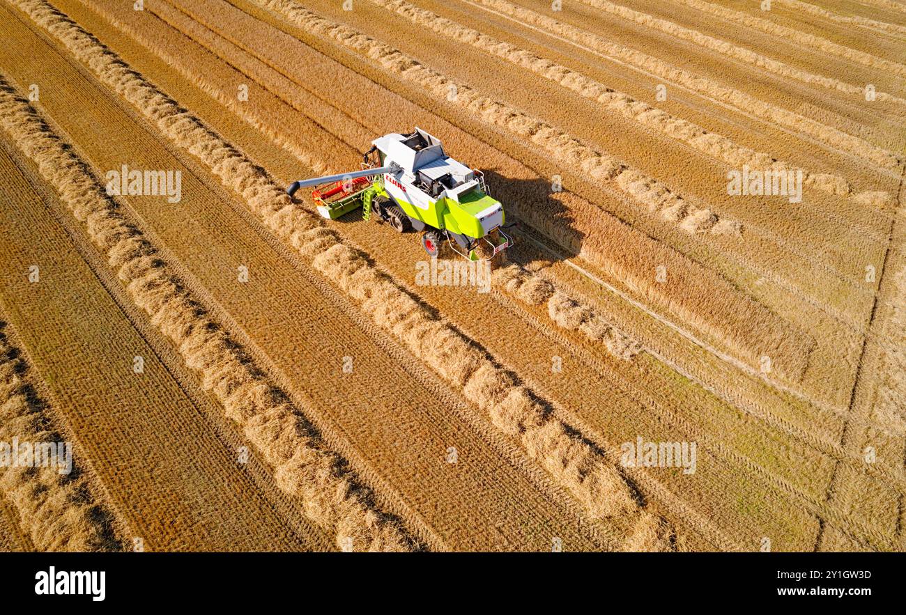 Moissonneuse-batteuse Caithness Scotland la moissonneuse-batteuse sur un champ d'orge à la fin de l'été Banque D'Images