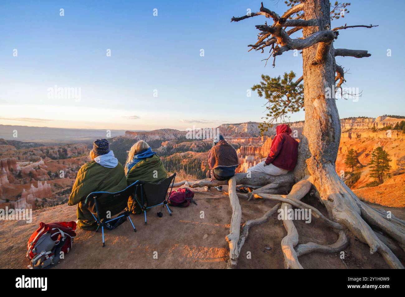 Groupe de randonneurs profitant d'une vue panoramique sur le lever du soleil au parc national de Bryce Canyon, utah assis près d'un arbre au bord d'une falaise. Banque D'Images
